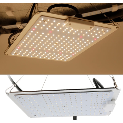 LED Grow Lampe 1000 W, Quantum Plant Light / MeanWell Power Supply