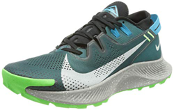 Nike Pegasus Trail 2, Scarpe da Corsa Uomo, Dk Teal Green/lt Silver-Black-lt Blue Fury-Green Strike, 44.5 EU precio