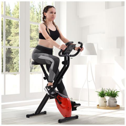 Cyclette Magnetica Pieghevole X-bike Con Sedile Imbottito E Console Lcd, Cyclette Indoor Per Cardio Gym, Rosso precio