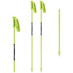 Bastoni Sci Nationalteam Carbon Gs 12,3 - 120 Cm Green-black precio