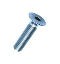 VITE BRUGOLA TP 10x 25 INOX A2-304 DIN7991-UNI5933 características