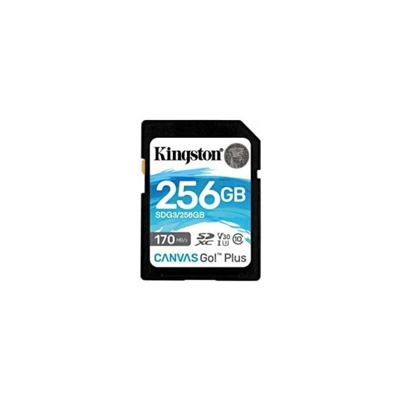 SDG3/256GB Scheda di memoria SD (256GB SDXC Canvas Canvas Go Plus 170R C10 UHS-I U3 V30 ) - Kingston