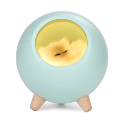 Mini Pet House Night Light Lampada da tavolo dimmerabile USB portatile Lampada da decorazione per cameretta per bambini,Verde, precio