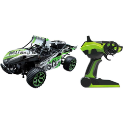 Amewi 22211 Extreme D5 1:18 Automodello per principianti Elettrica Buggy 4WD incl. Batteria, caricatore e batterie tele en oferta