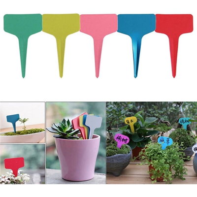 Etichetta da giardinaggio floreale a forma di T, etichetta in plastica, etichetta a colori, 250pc, colore casuale