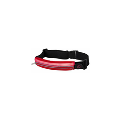 Paulmann Waist Bag Red Rechargeable 70968-Tracolla da Corsa a LED con Scomparto per Smartphone, incl. 1 Marsupio da 0,4 Watt, Luminoso, in Tessuto en oferta