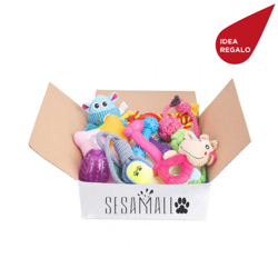 Gift Box per Cani + spedizione Gratis características