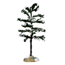 Conifer Tree, Large precio