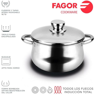 Pentola silverinox in acciaio inox + coperchio ø20cm acciaio inox 18/10 fagor