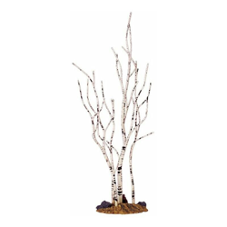 Birch Tree, Medium en oferta