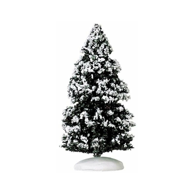 Evergreen Tree, Medium