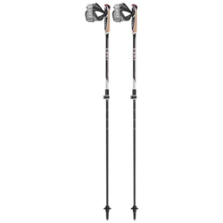 Istructor Lite Bastoncini Nordic Walking características