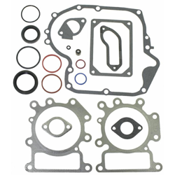 Serie Guarnizione OHV monocilindrico verticale da 16 a 19,5 HP AVS 310000, 330000 -320316 características