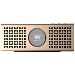 BIG BASS BT-20 Stereo portable speaker 10W Oro en oferta