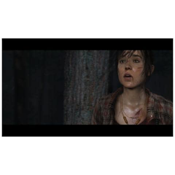 Heavy Rain & Beyond: Two Souls Collection, PS4, PlayStation 4, Avventura, Quantic Dream, M (Mature) , Computer Entertainment características