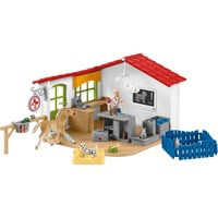 Veterinarian practice with pets, Gioco figura en oferta