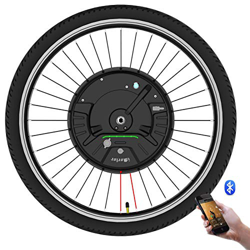 QMRePow Kit di conversione Bici elettrica Imortor 3.0 36V 350W, Kit di conversione Bici elettrica per Ruota Anteriore Tutto in Uno, con pastella/USB/P características