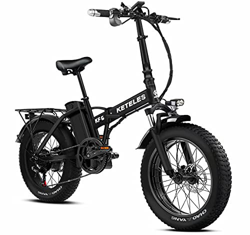 20 Pollici Bicicletta Elettrica Pieghevole per Uomo e Donna, 4,0 Pollici Fat Tire, Batteria Rimovibile da 48 V 18Ah, 1000 W Ebike è adatta per neve, m características