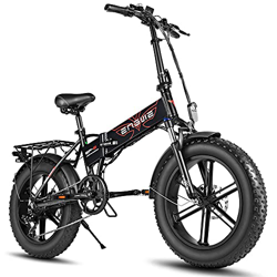 Fafrees Bicicletta Elettrica 20 Pollici 750 W 48 V 12,8 Ah Batteria Rimovibile, Bici Elettrica Pieghevole da Spiaggia da Città características