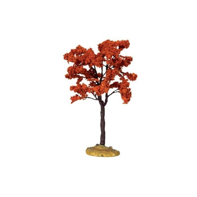 Yellowwood Tree, Medium Cod. 44799