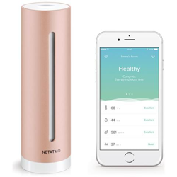 Healthy Home Coach Misuratore Intelligente della Qualità dell'Aria Colore Rose Gold precio