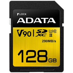 Scheda di Memoria SDXC Capacità 128 GB Classe 10 Velocità 290 MB / s características