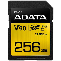 Scheda di Memoria SDXC Capacità 256 GB Classe 10 Velocità 290 MB / s precio