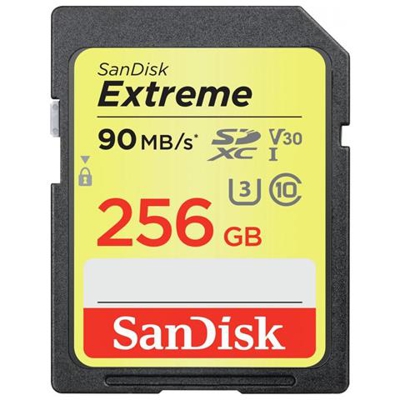 Scheda di Memoria SDXC Extreme 256 GB UHS-I di Classe 10 Velocità 90 MB / s